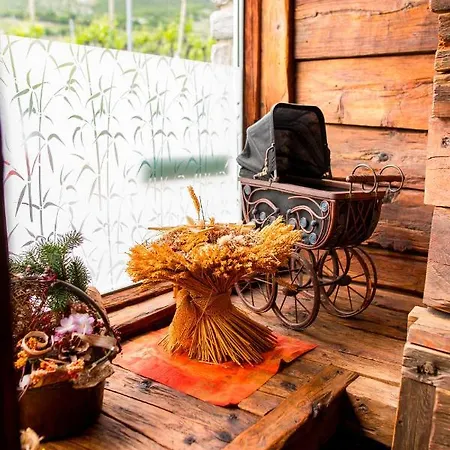 Agence Alv - Art Le Vin Hotel Salgesch