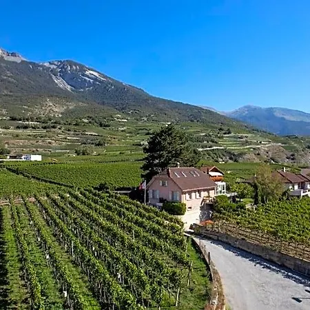 Agence Alv - Art Le Vin